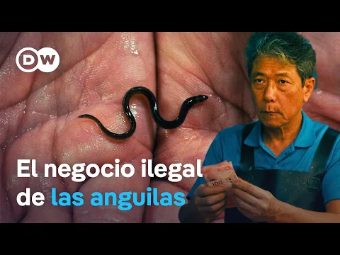 youtube-video-thumbnail