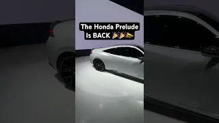 Honda Prelude Returns! (Unexpected)