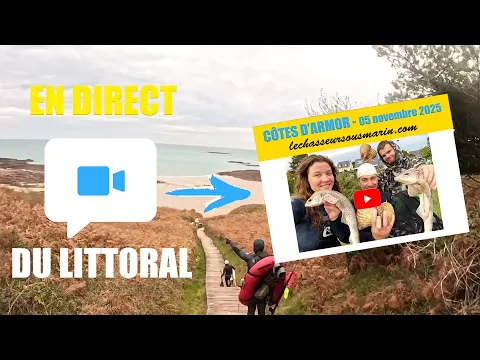 Vignette de la vidéo