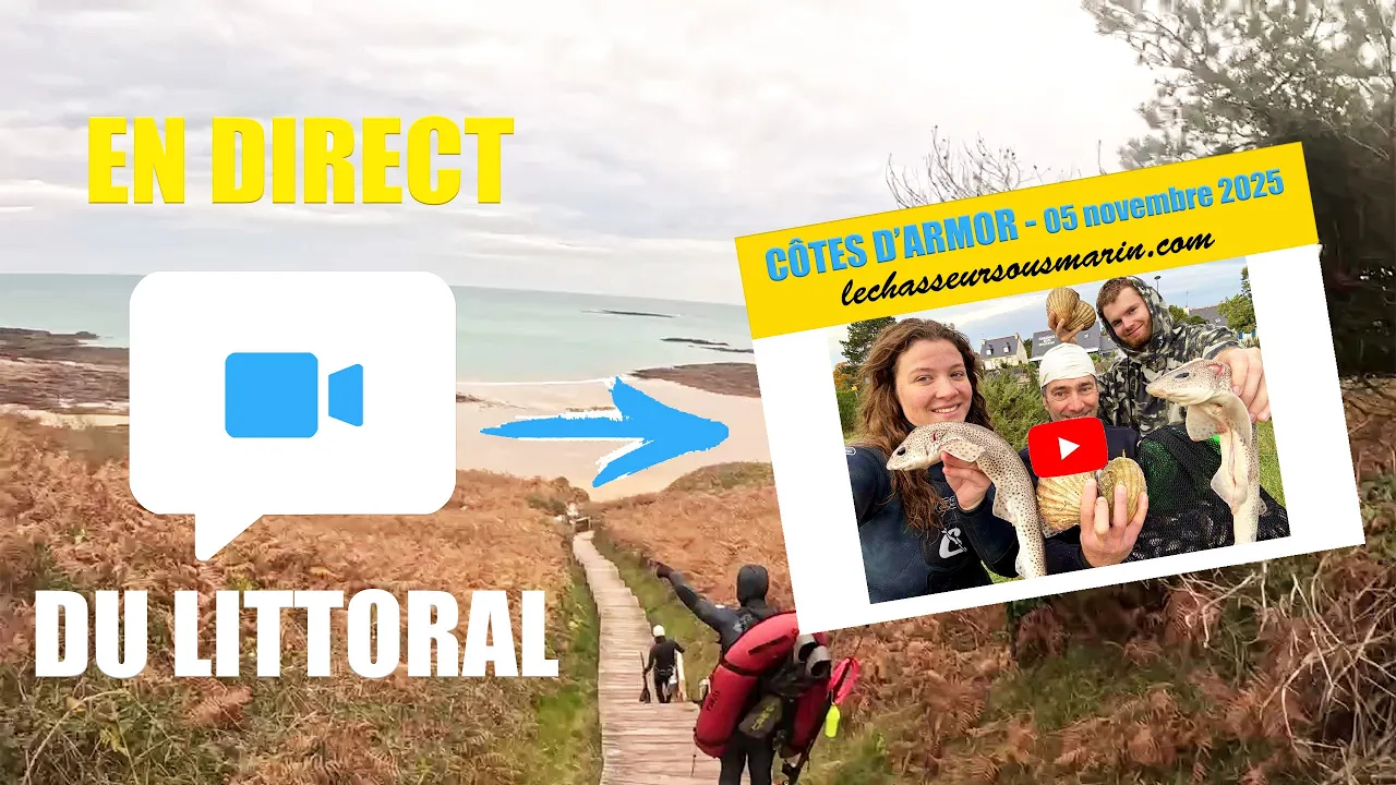 Vignette de la vidéo