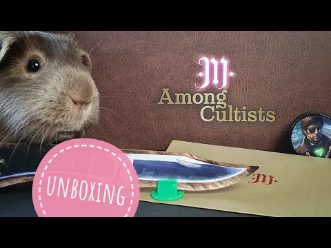 Among Cultists All-In Unboxing  - deutsch