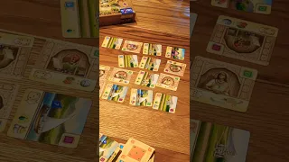 Rajas of the Ganges: Cards & Karma #boardgames #boardgamelife #恆河王權 #業力 #紙牌