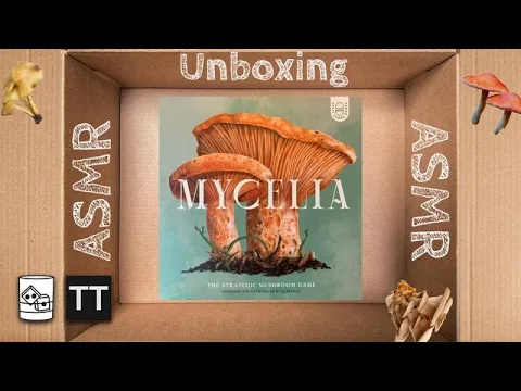 Satisfying Board Game Unboxing