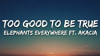 Elephants Everywhere - Too Good To Be True (Lyrics) ft. AKACIA [7clouds Release]