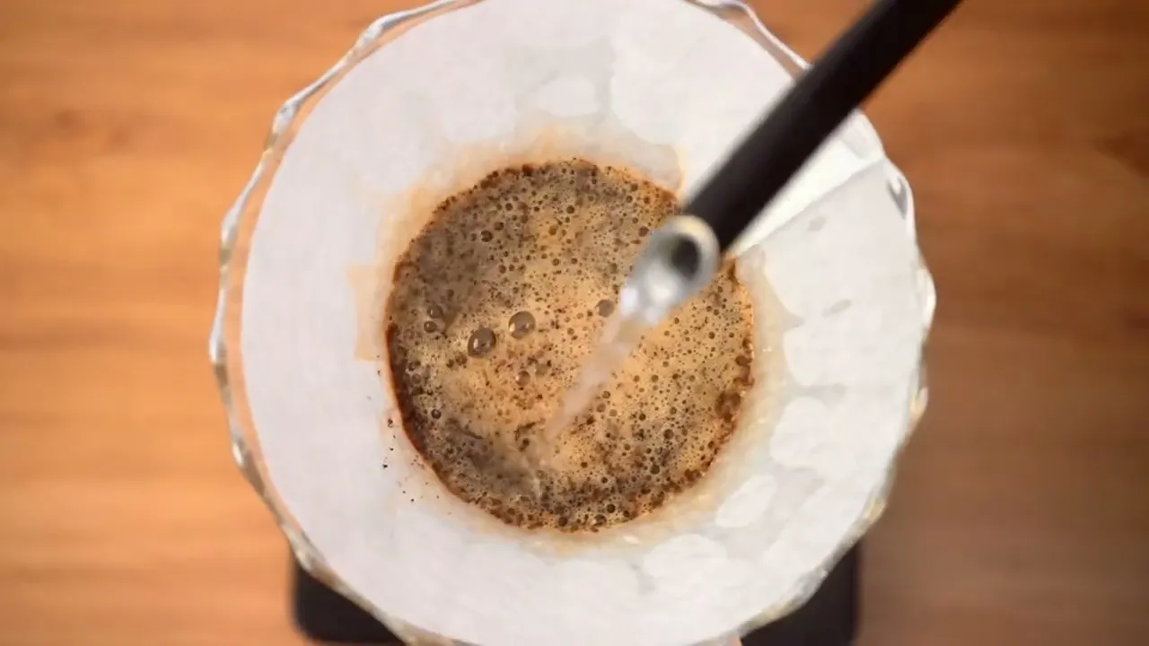 Video de Domestic Bloom