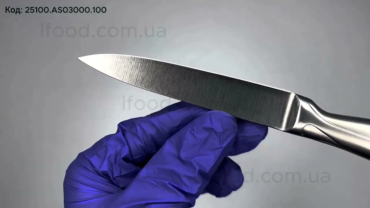 Нож для овощей Icel Absolute Steel 100 мм 25100.AS03000.100