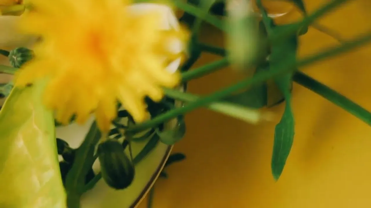 Video de Nutfuncional