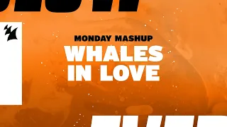 Monday Mashup: Whales In Love