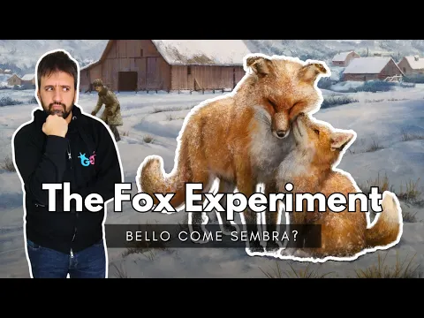 The Fox Experiment - È bello come sembra? Primo sguardo e Reaction all'apertura della scatola