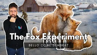 The Fox Experiment - È bello come sembra? Primo sguardo e Reaction all'apertura della scatola