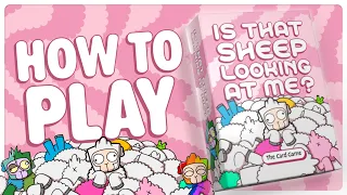 How to Play: Is That Sheep Looking At Me? The Card Game!