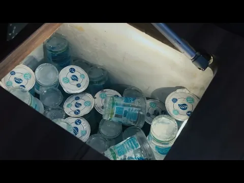 youtube-video-thumbnail