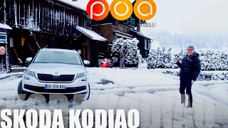 Skoda Kodiaq 2017 : l'ours bien léché - Essai 1/2