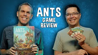 Ants Review - Strategic Ant Board Game