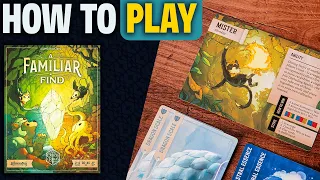 A Familiar Find | How to Play | Learn to Play in 9 Minutes! | A Set Collection Card Game