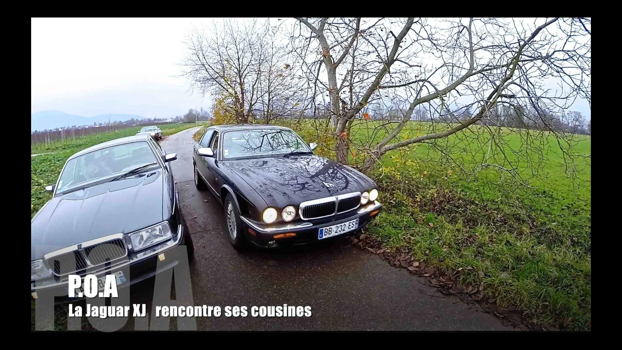 P.O.A Strasbourg : Rencontre avec une Jaguar XJS V12 (part 2)