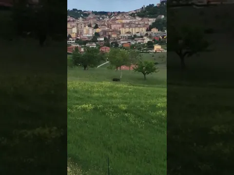 Youtube Preview