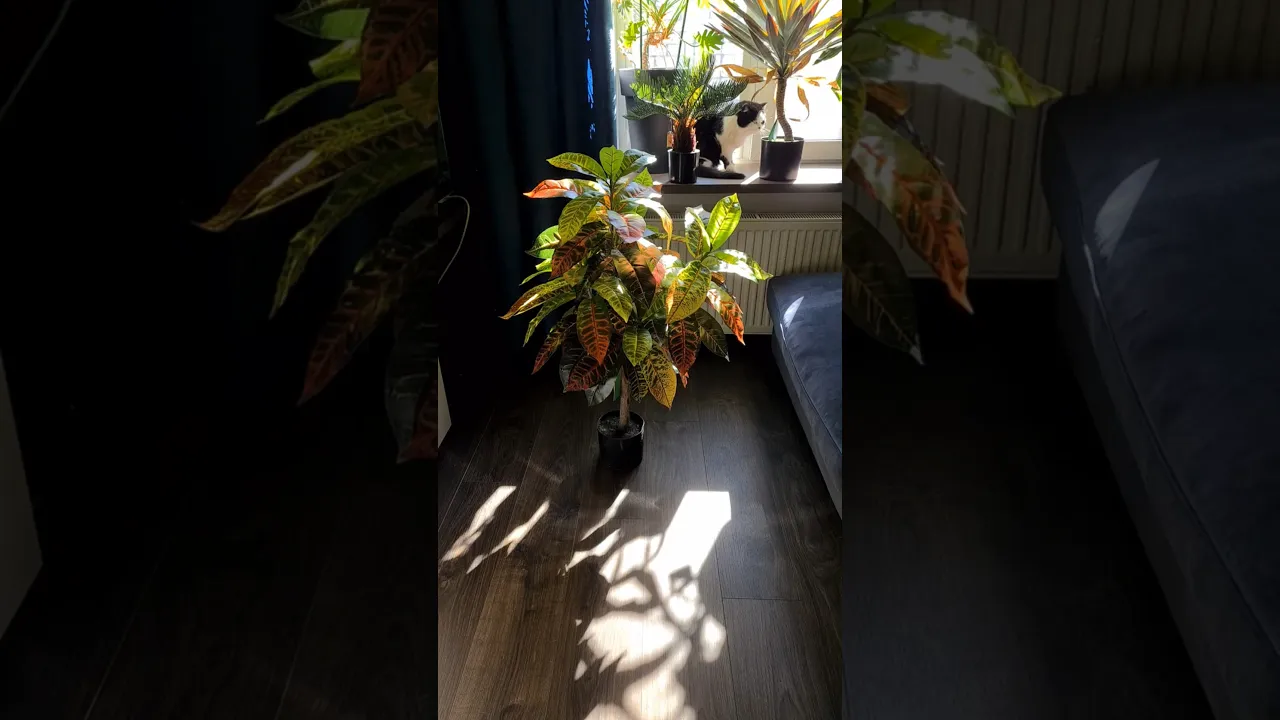 Штучна рослина Кротон H95cm NKoop EEG