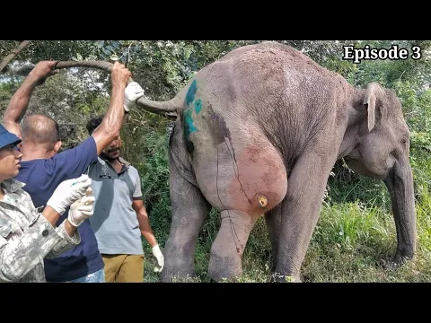 youtube-video-thumbnail