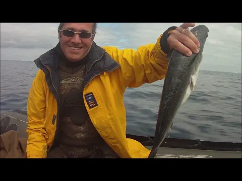 Vignette de la vidéo