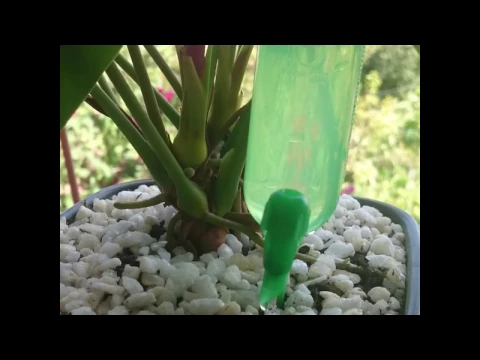 Gotejador Plástico Gota a Gota  Manual 80ml