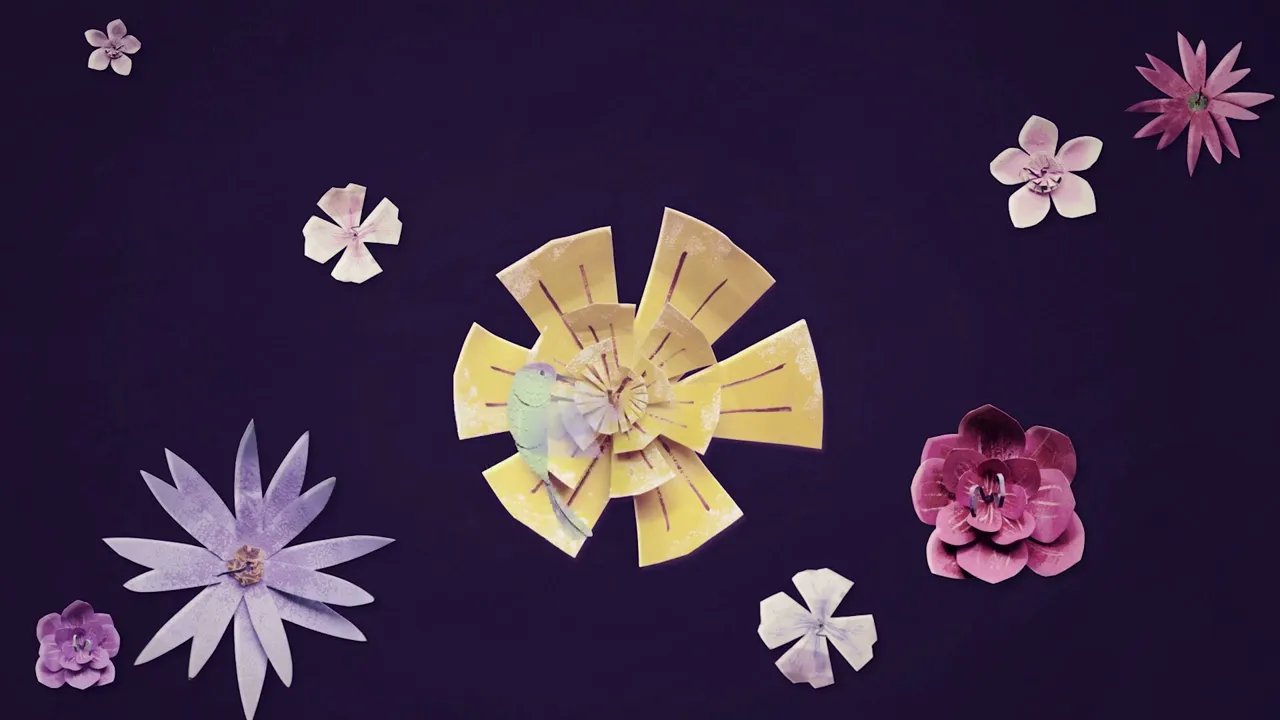 Video de Cofradia Dg