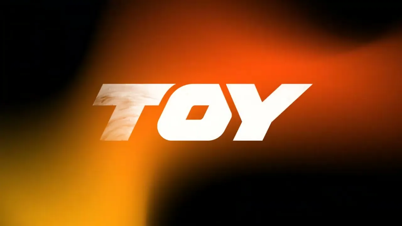 Video de Zapatillas TOY