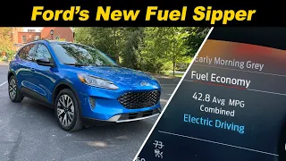 2020 Ford Escape Hybrid | Watch Out RAV4!