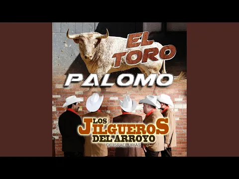 Video for event landing page