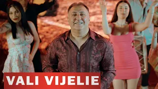 VALI VIJELIE - Sa Fie Veselie (Video Oficial) 2026