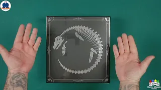UNBOXING - BONE WARS (DELUXE EDITION) - #INDABOX