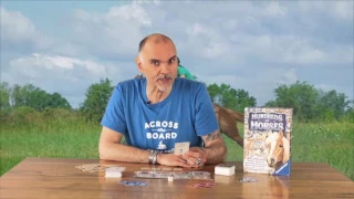 Hundreds Of Horses at Across the Board Game Café