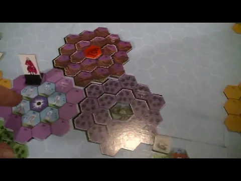 Wizards 1