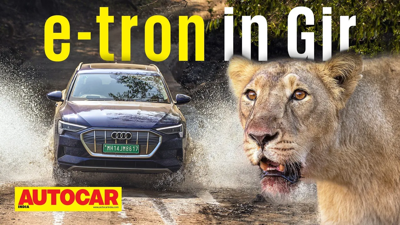 First EV in Gir National Park! Audi e-tron meets the Asiatic Lion | Feature | Autocar India