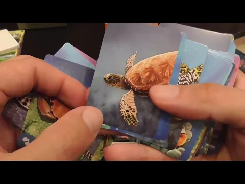 Review of all three games (Original, Savanna, Coral Reef)