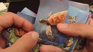 Review of all three games (Original, Savanna, Coral Reef)