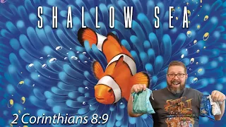 Shallow Sea Review