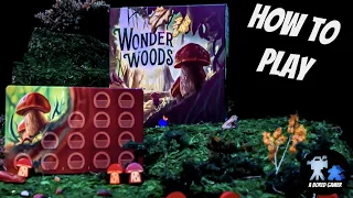 How to Play Wonder Woods