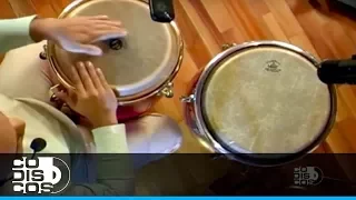 Aprenda Percusión Con Diego Galé (Conga Como Suena Una Charanga) Capítulo 9