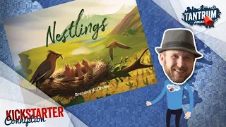 Nestlings Board Game Overview