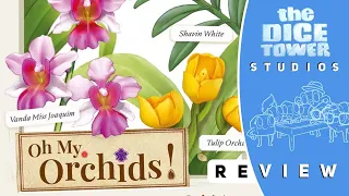 Oh My, Orchids! Review: More To Adore From Singapore