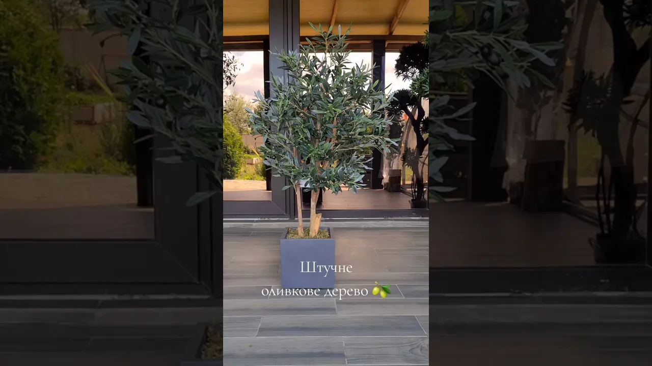Искусственное Оливковое дерево H120cm NKoop FW