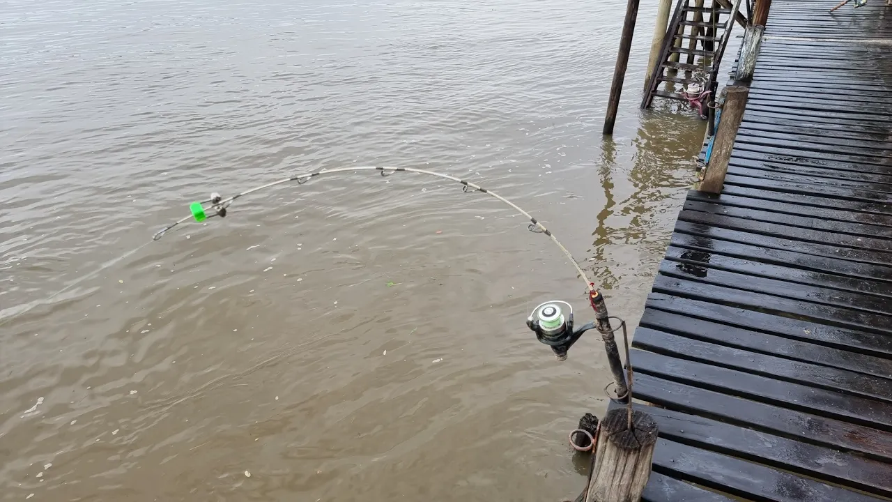 Video de Los primos - Pesca y Camping