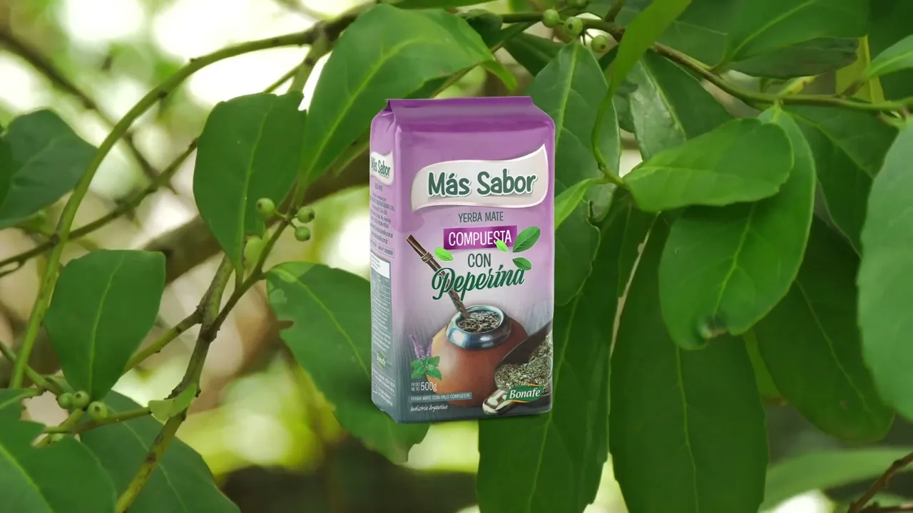 Video de MAS SABOR