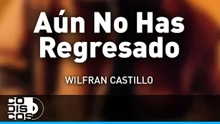 Aún No Has Regresado, Wilfran Castillo - Audio