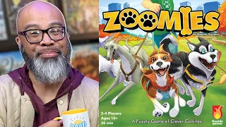 Zoomies Teach & Play