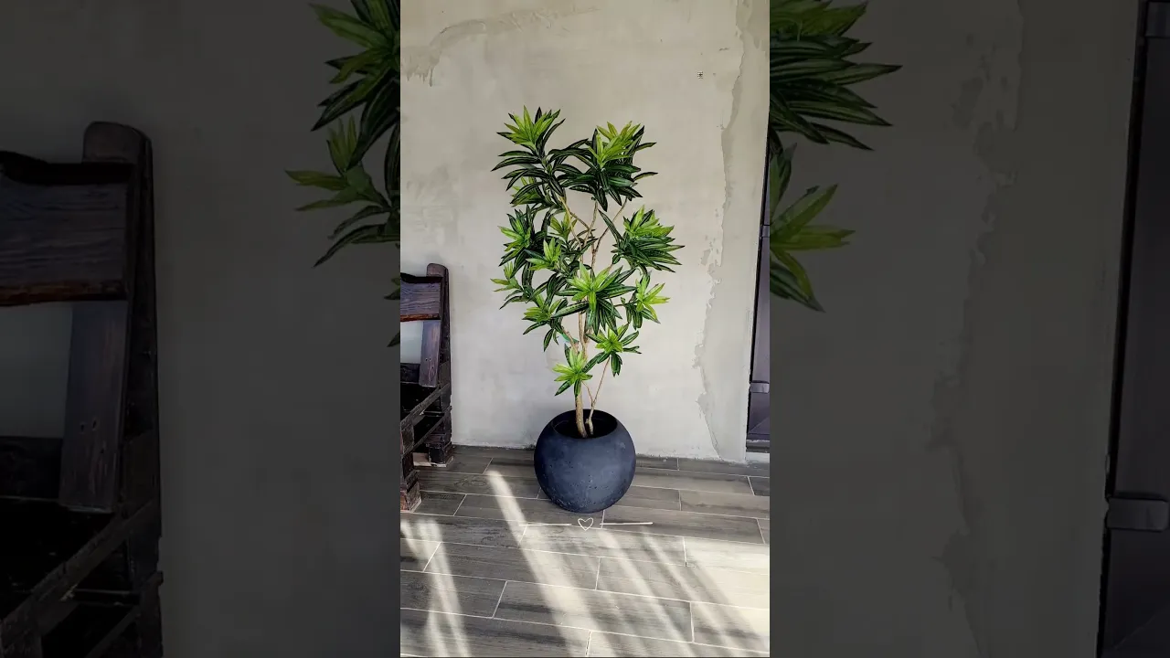 Artificial Plant Dracaena Tree H155cm NKoop EEG