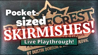 Battlecrest Solo: Is That A Solo Board Game In Your Pocket Or... (Hard)