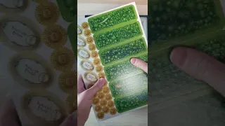 🎣Nusfjord Unboxing