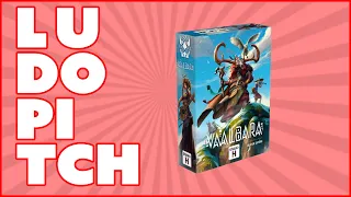 Ludopitch - Vaalbara